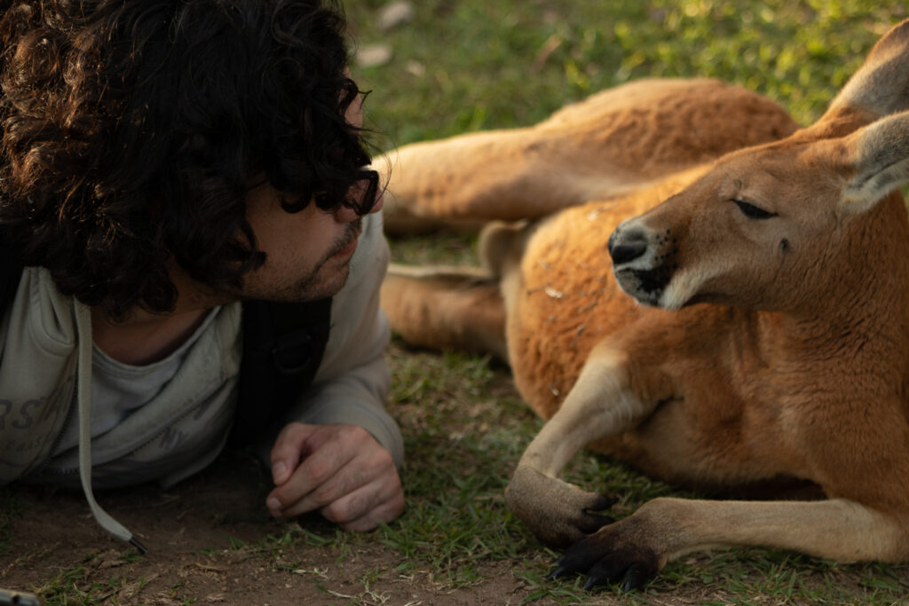 Person laying down with kangaroo